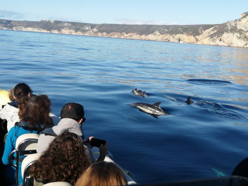 Place Vertente Natural - Active Tourism - Coasteering, Diving, Canoeing, Trekking, Dolphin Watch, Boat Tours