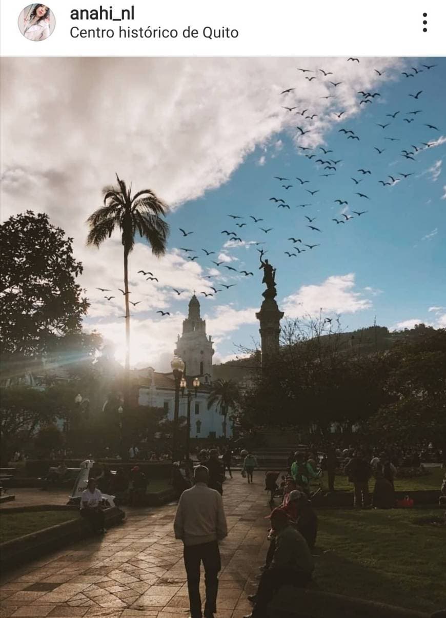 Place Centro historico Quito