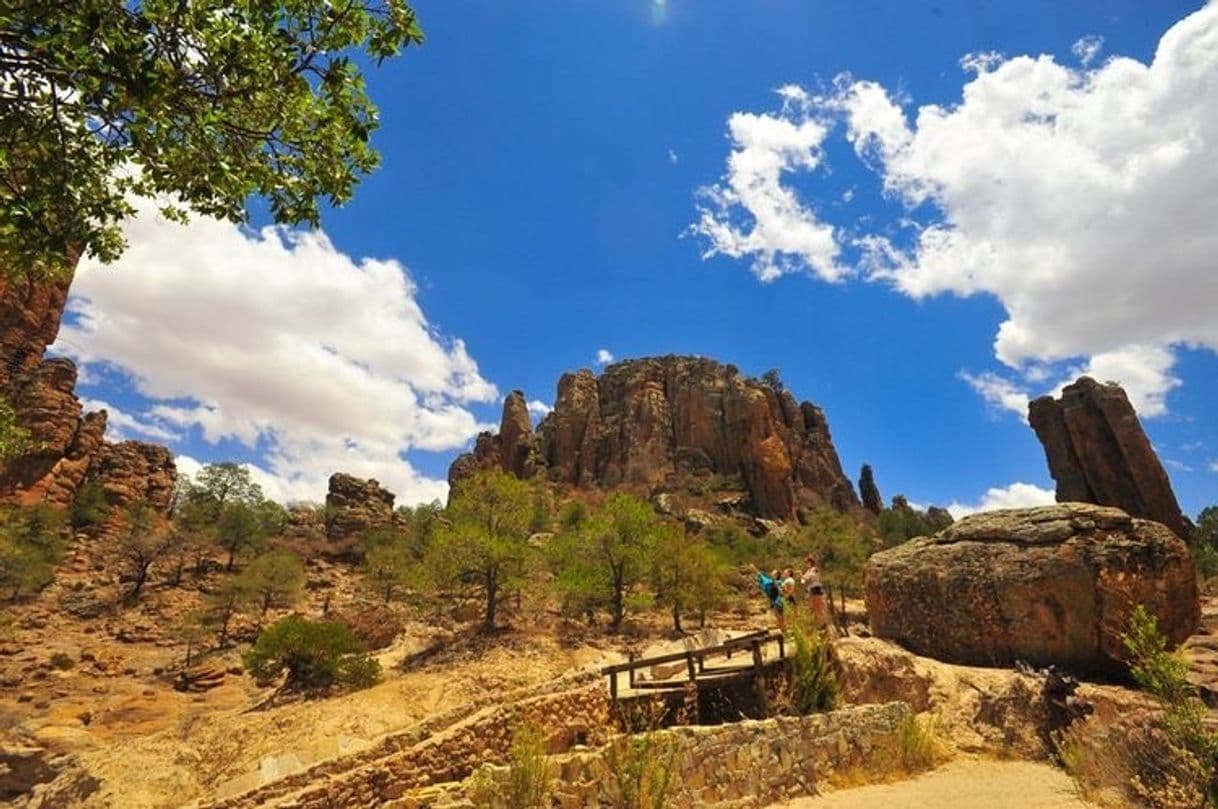 Place Sierra de Órganos