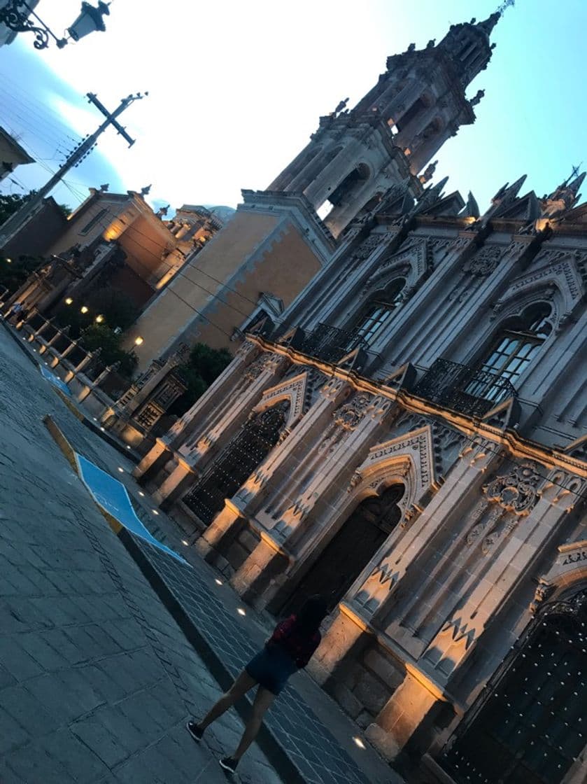 Place Jerez de García Salinas