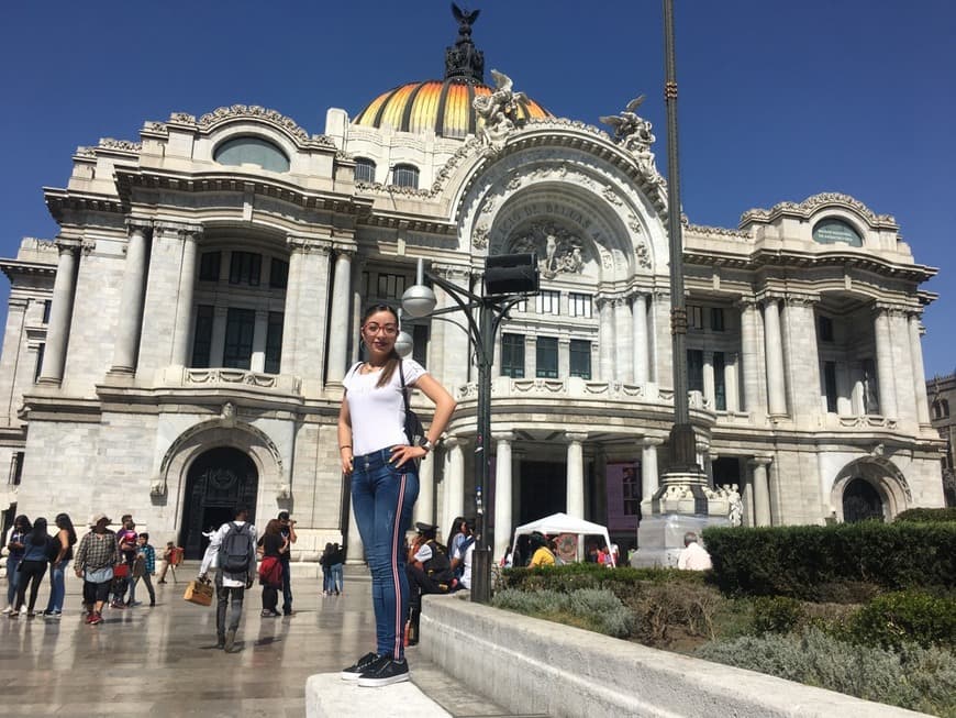 Place Palacio de Bellas Artes