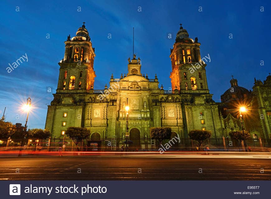 Place Catedral Metropolitana de la Asunción de María