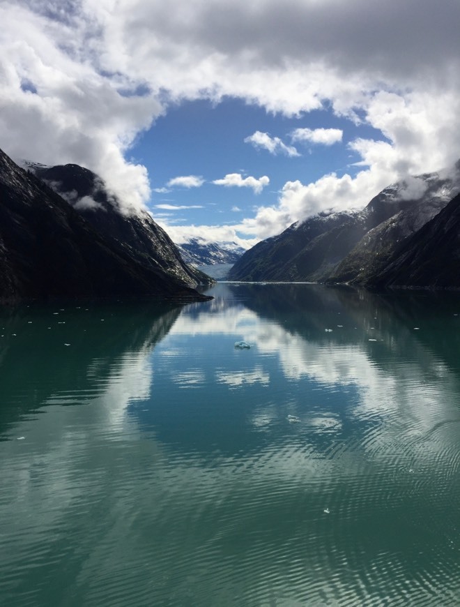 Place Tracy Arm Fjord