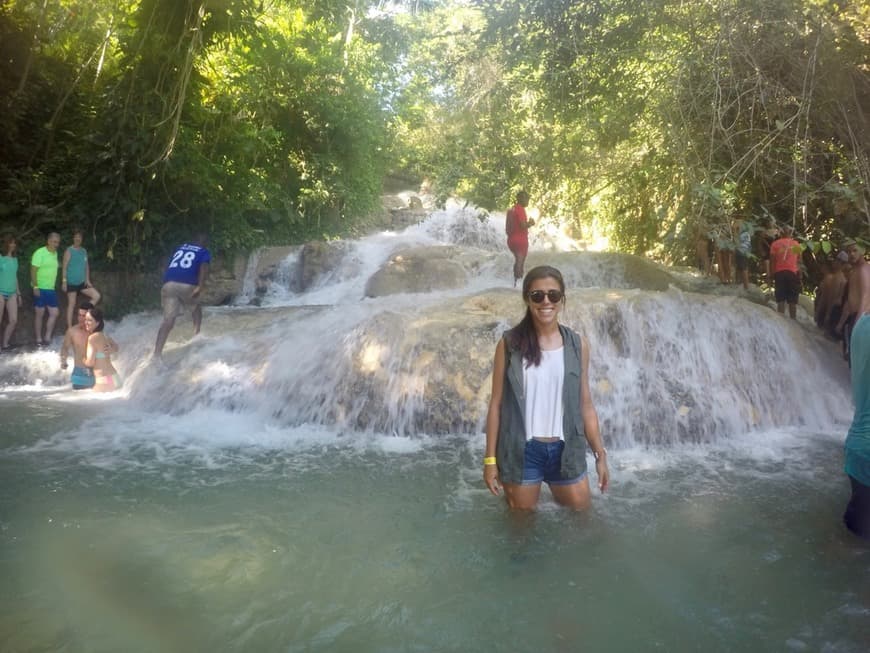 Place Dunns River Falls