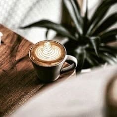 Moda Cappuccino 