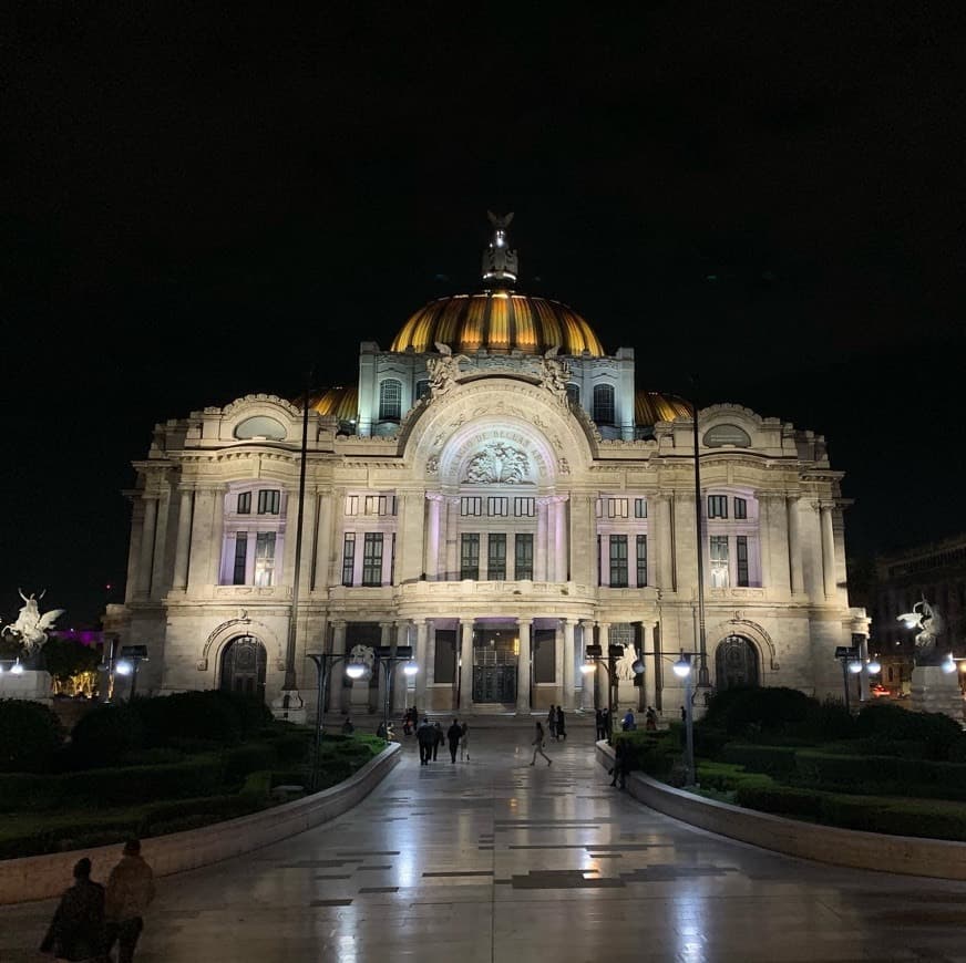 Lugar Palacio de Bellas Artes