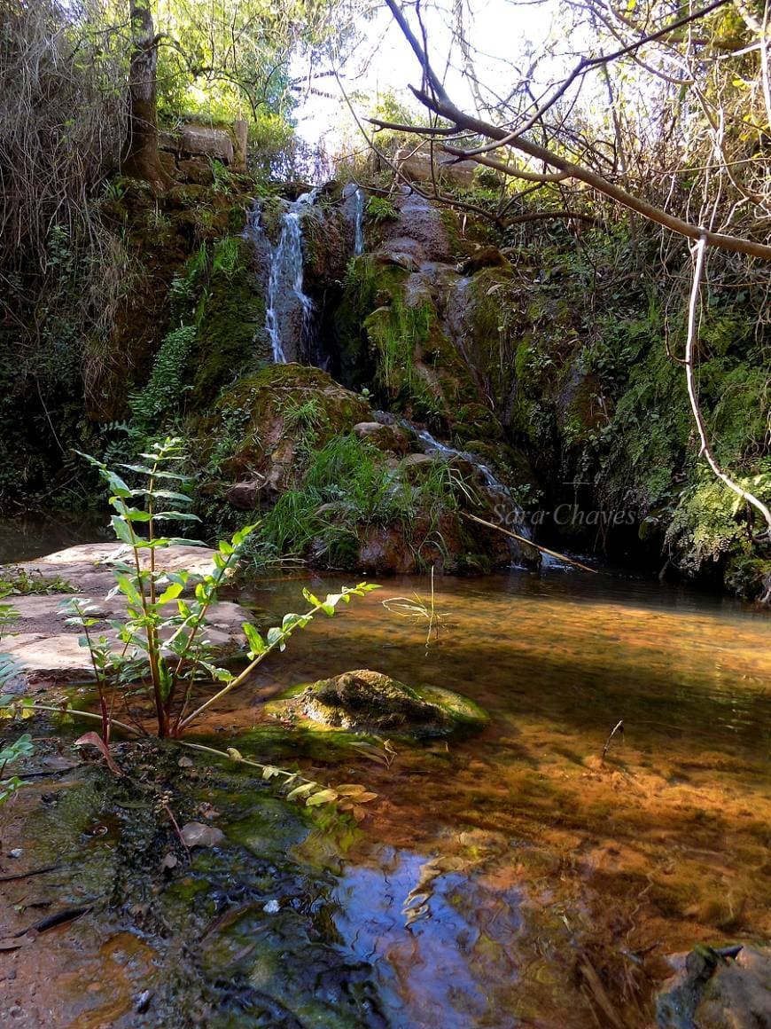 Place Quinta de Alcube