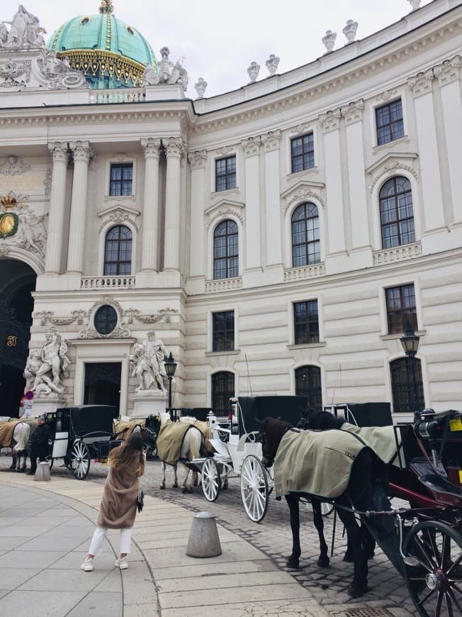 Place Hofburg Palace