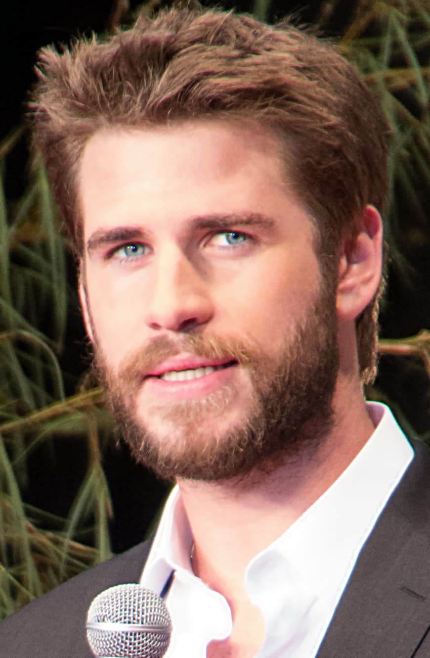 Moda Liam hemsworth