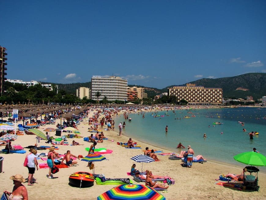 Lugar Palmanova Beach