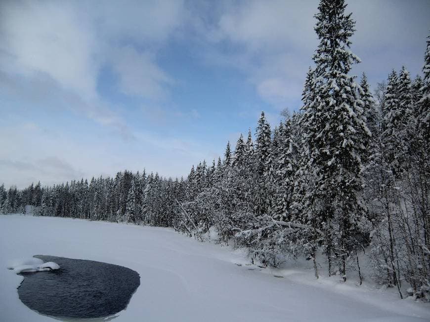 Lugar Oslo Vinterpark