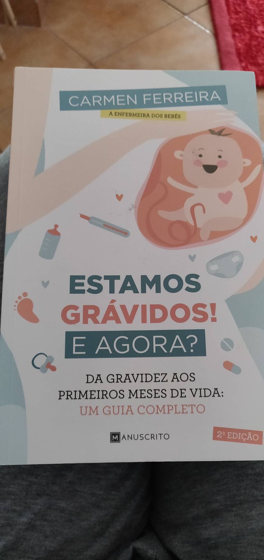 Book Estamos Grávidos! E Agora?