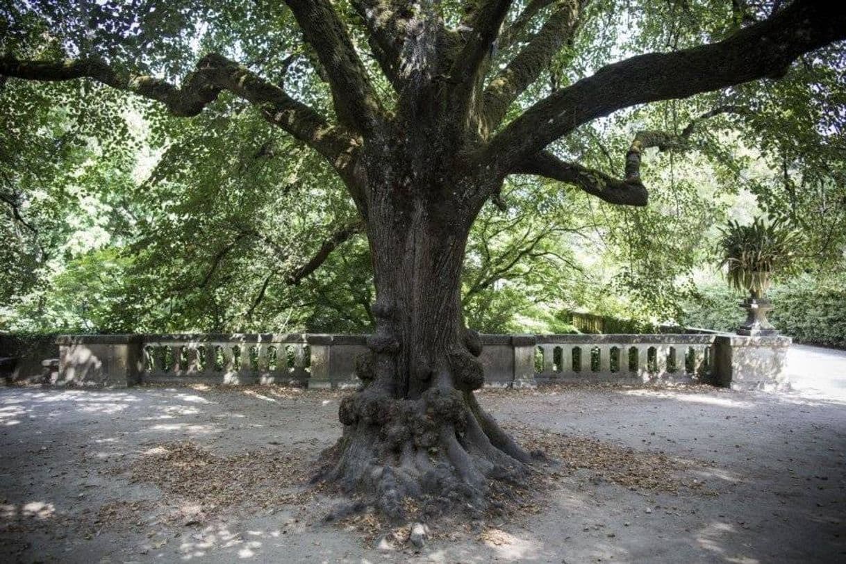 Lugar JARDIM BOTÂNICO