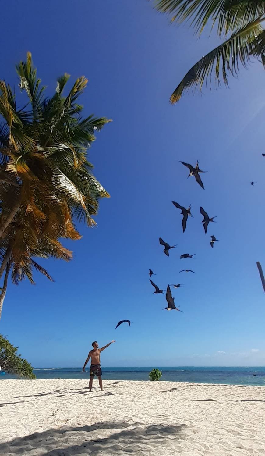 Lugar Cayo Playuela