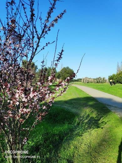 Fashion Clube Golfe da Beloura