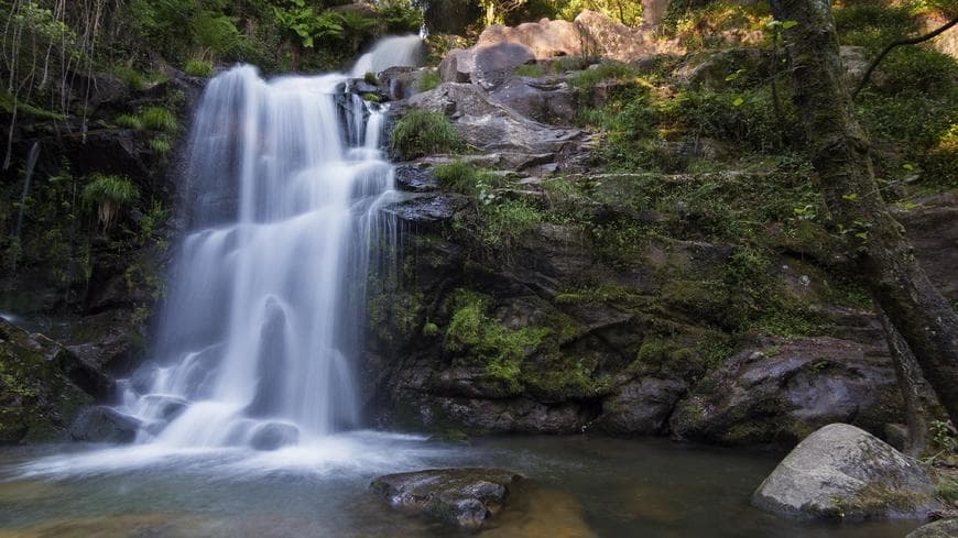 Lugar Sever do Vouga