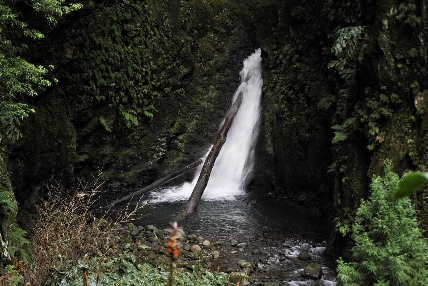 Lugar São Miguel Island