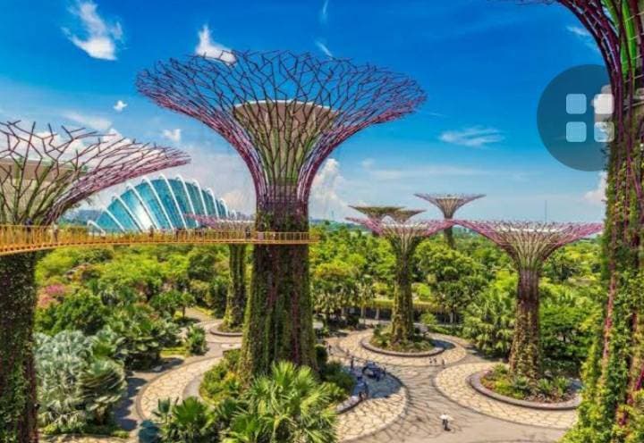 Place Gardens by the Bay