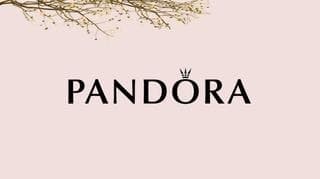 Fashion Pandora💎