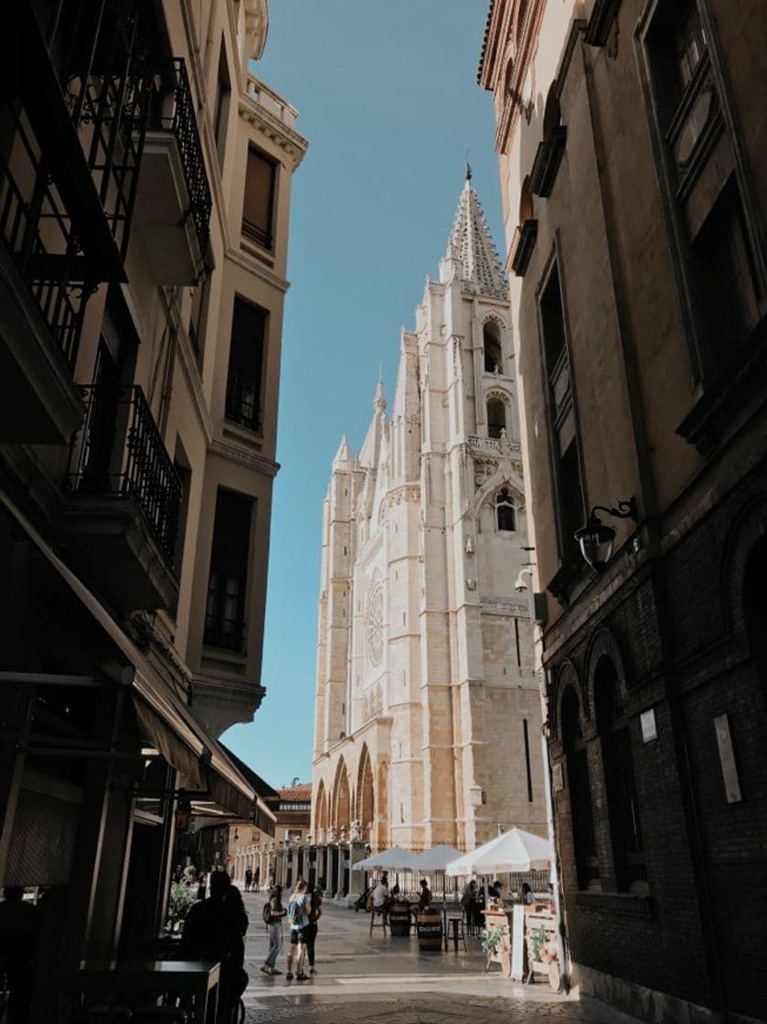 Place Catedral de León