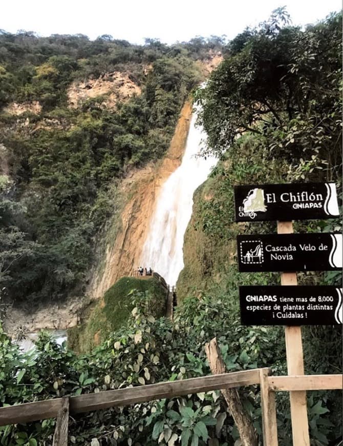 Lugar Cascada El Chiflón