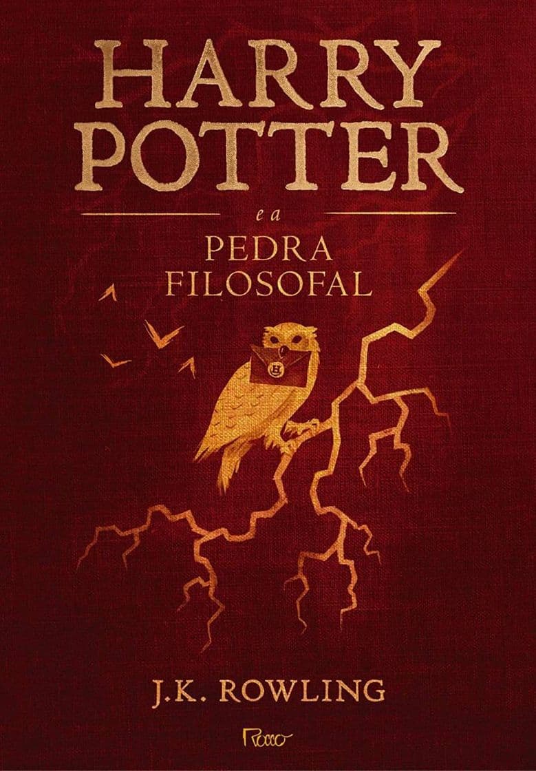 Fashion Harry potter e a Pedra Filosofal