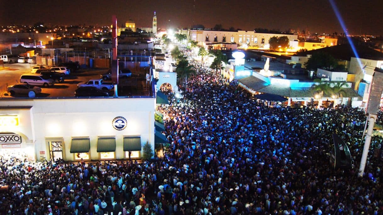 Place Palenque de la Feria Nacional de San Marcos