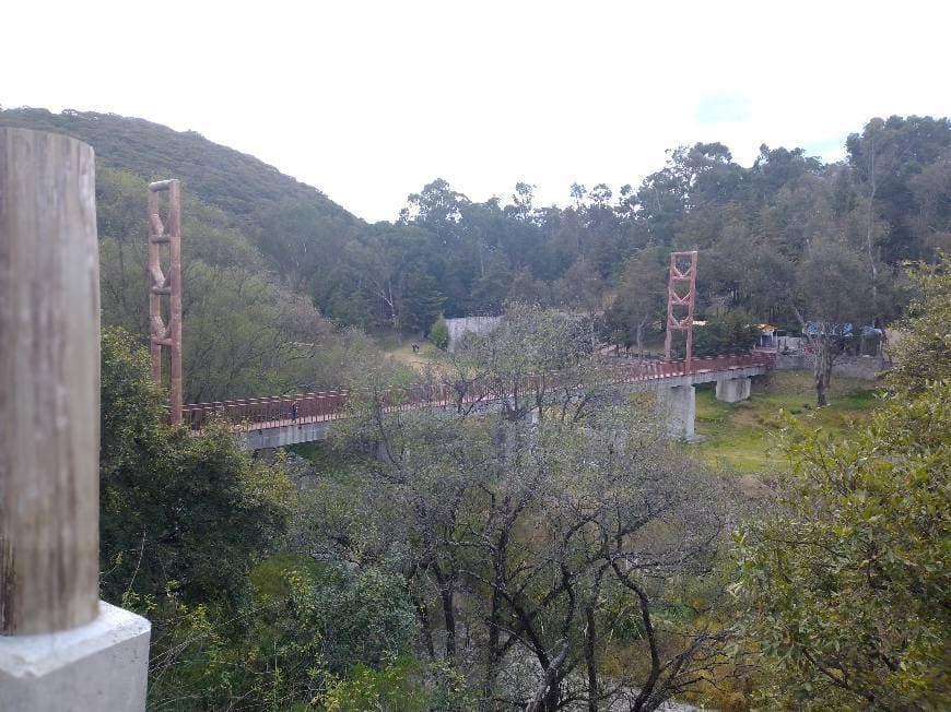 Lugar Parque de los Ciervos