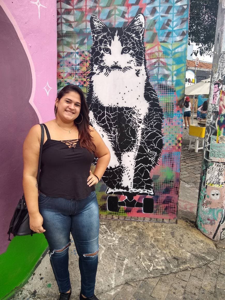 Fashion Beco do Batman