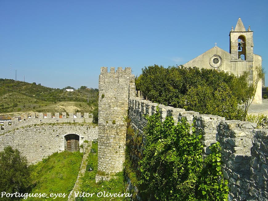 Place Castelo de Montemor-o-velho