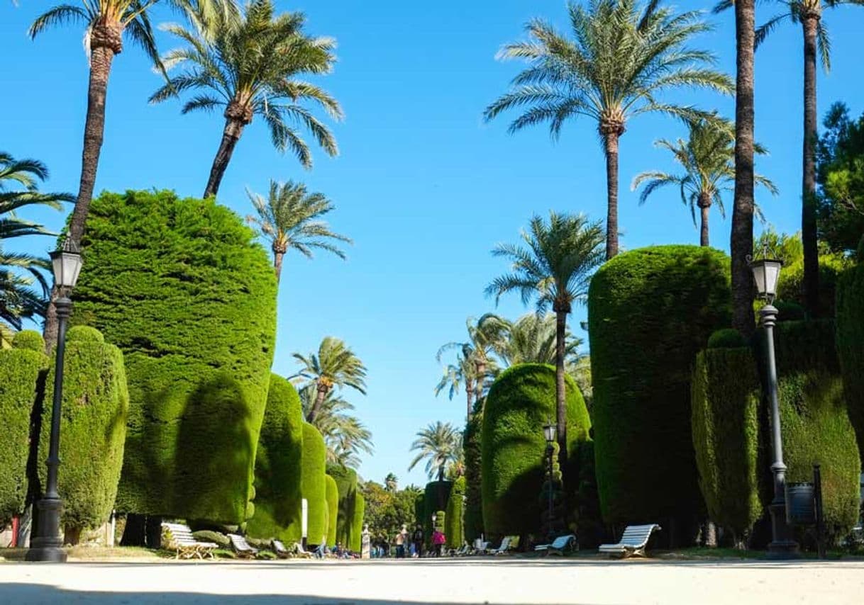 Place Parque Genovés