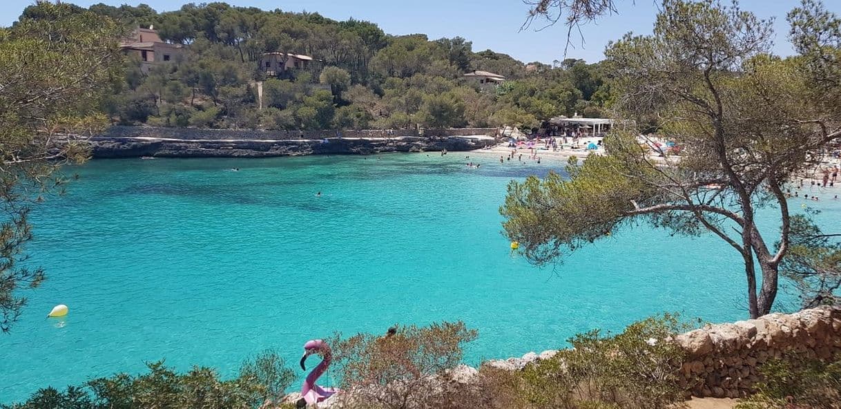 Place Cala Mondragó