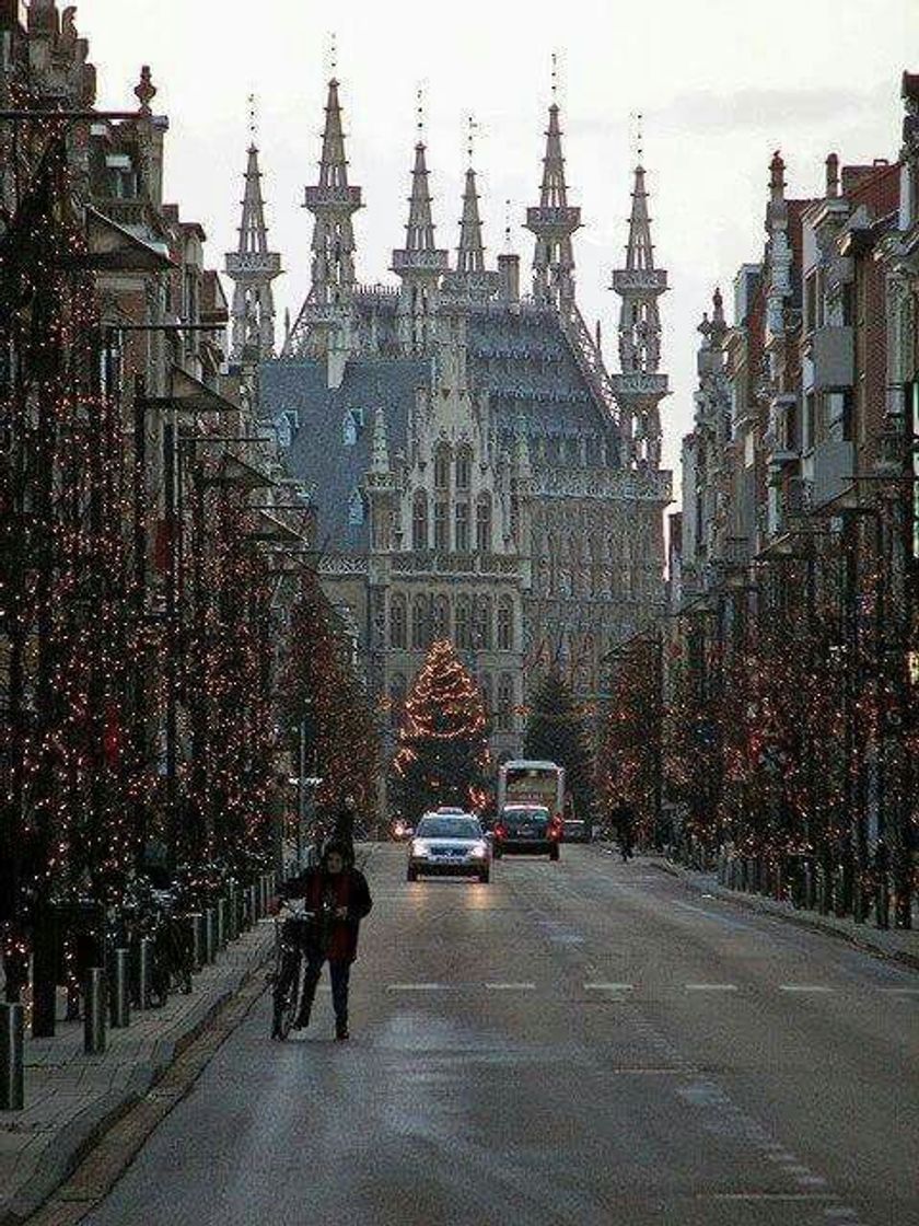 Place Leuven