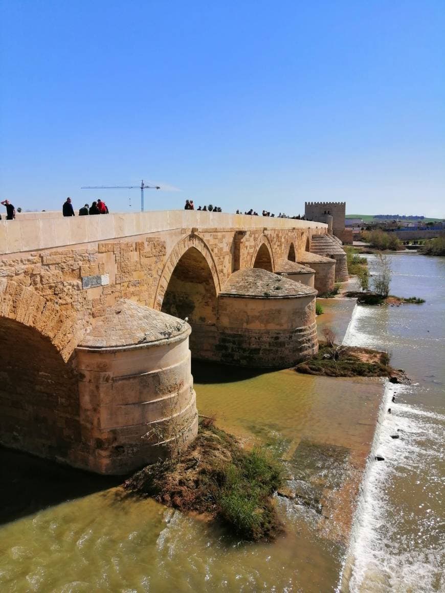 Place Puente Romano de Córdoba