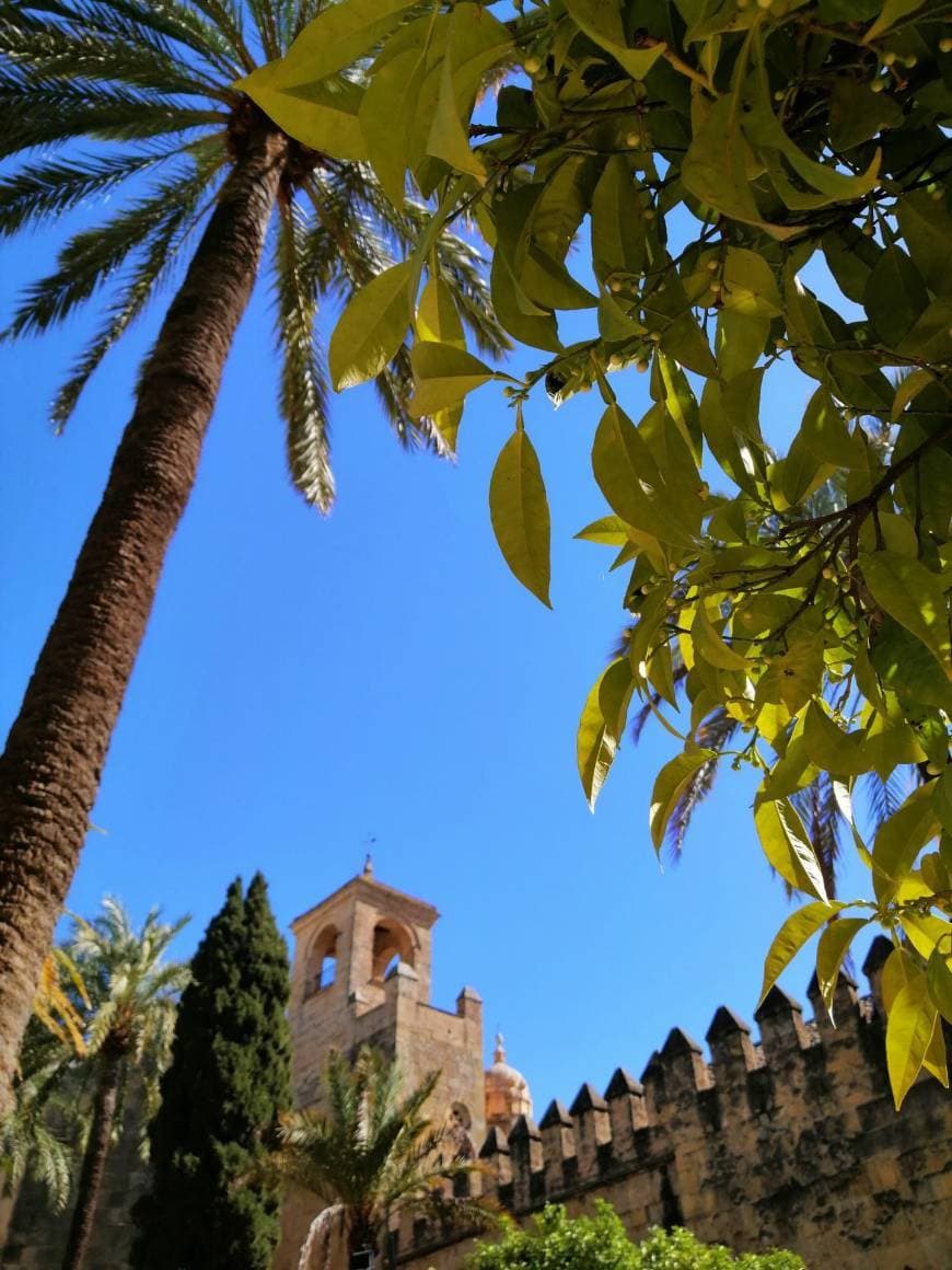 Place Alcázar de los Reyes Cristianos