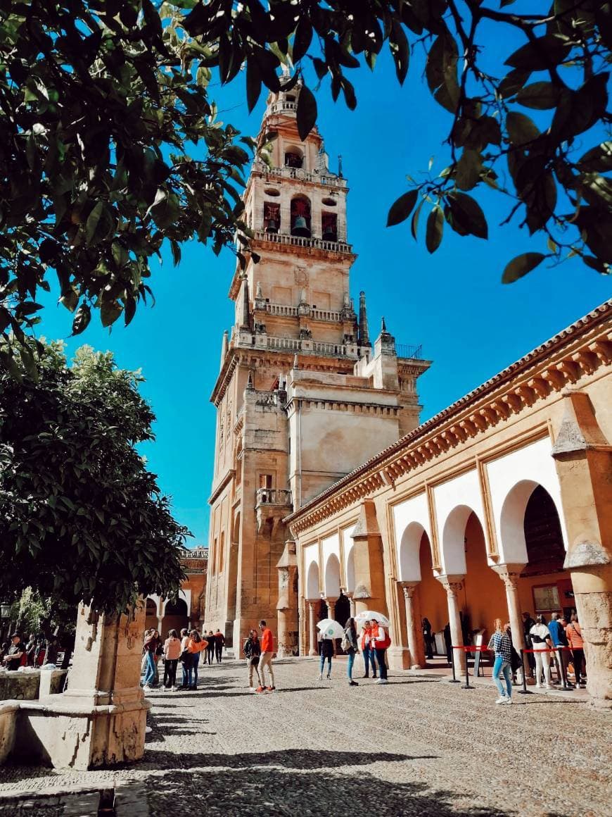 Place Mezquita-Catedral de Córdoba