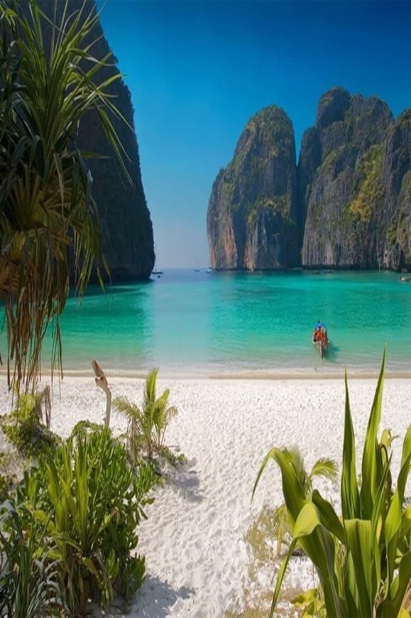 Place Phi Phi Islands