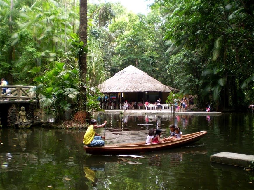 Lugar Bosque Rodrigues Alves Jardim Zoobotânico da Amazônia