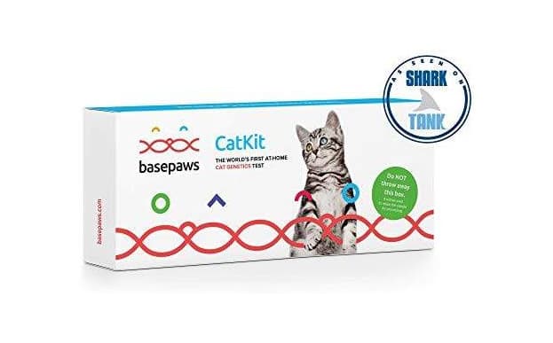 Product Cat DNA Test