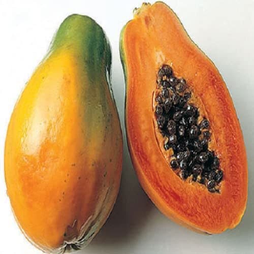 Producto PAPAYA Fruit Application