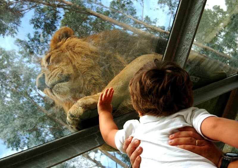 Lugar Zoo Santo Inácio