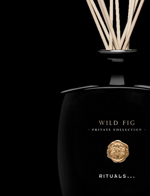 Product Wild Fig Fragrance Sticks