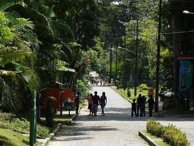 Lugar Parque Estadual de Dois Irmãos