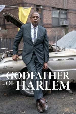 Serie Godfather of Harlem