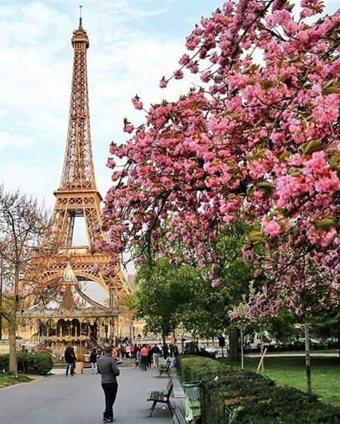 Place París