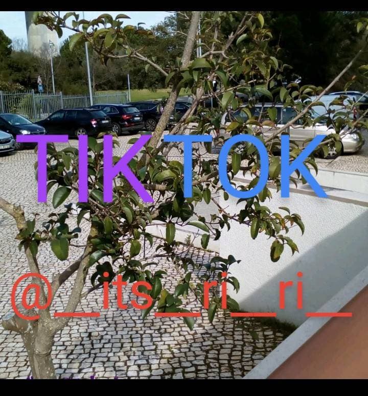 App TikTok