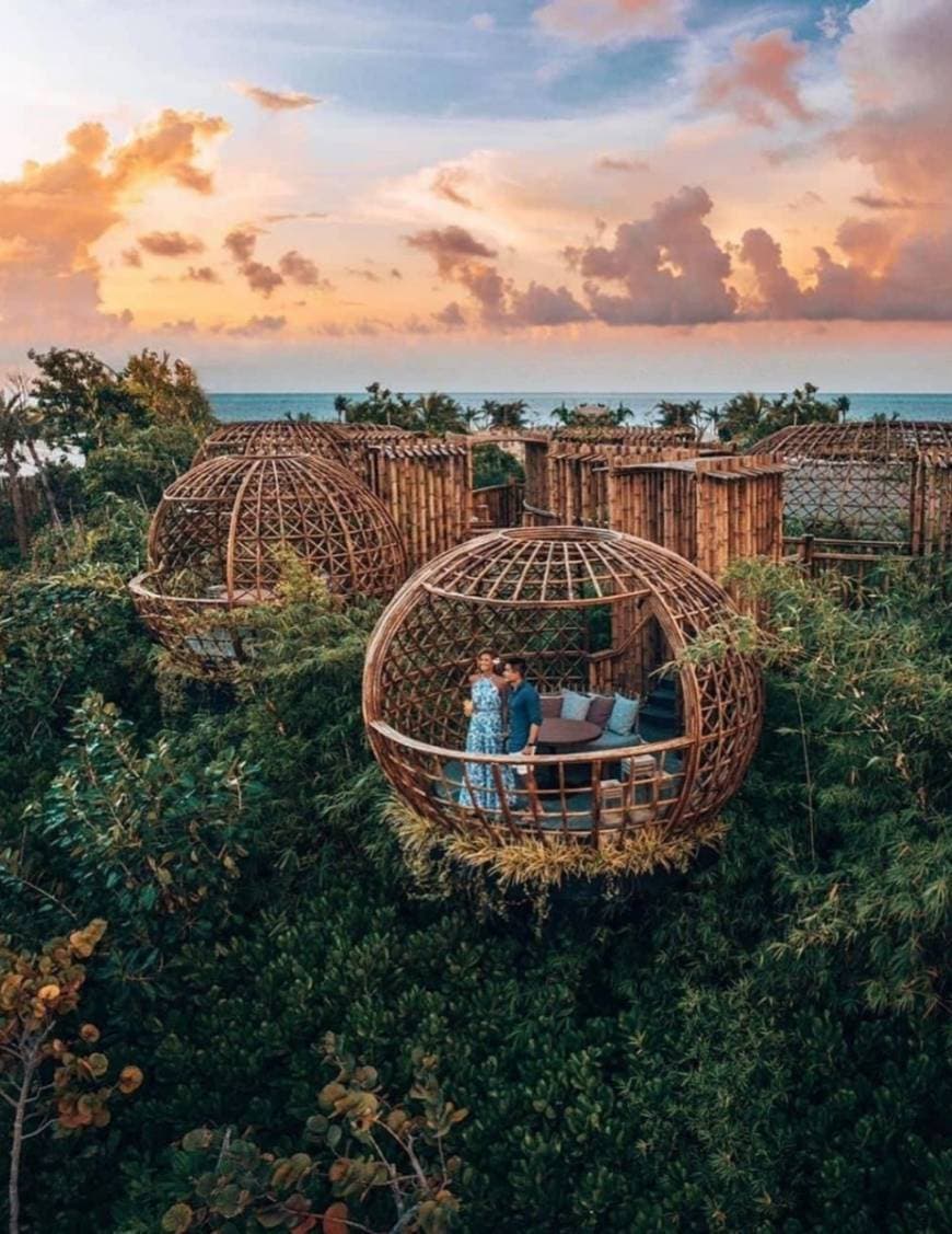 Lugar Waldorf Astoria Maldives Ithaafushi