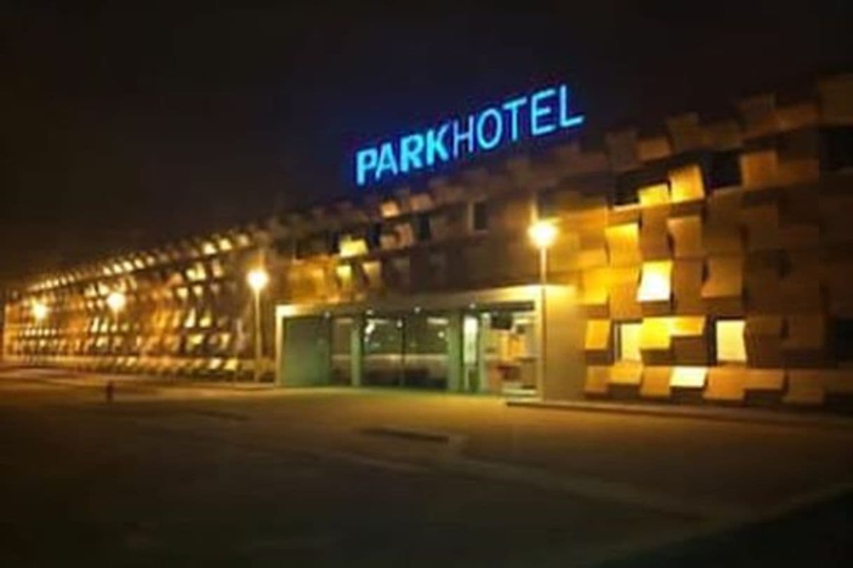 Place Park Hotel Porto Aeroporto