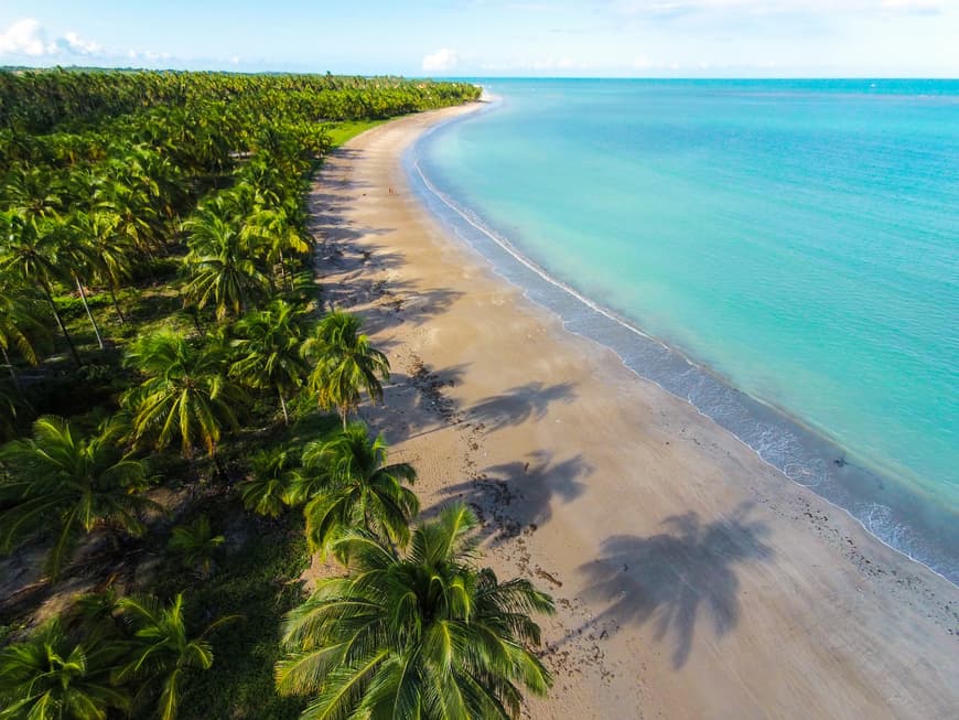 Lugar Praia de Ipioca