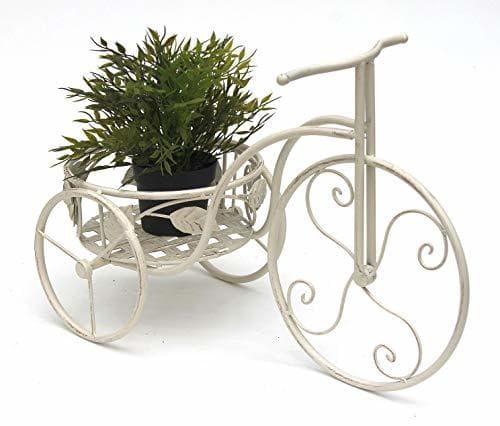 Producto KAA Bicicleta para Plantas con Cesta de jardín